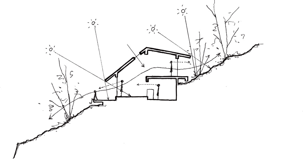 atelier thu splits japanese wooden house between two different terrain levels