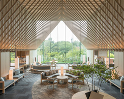 The new Louis Vuitton store at Ginza Namiki-dori – ADF Web Magazine –  Architecture×Art×Design Information News