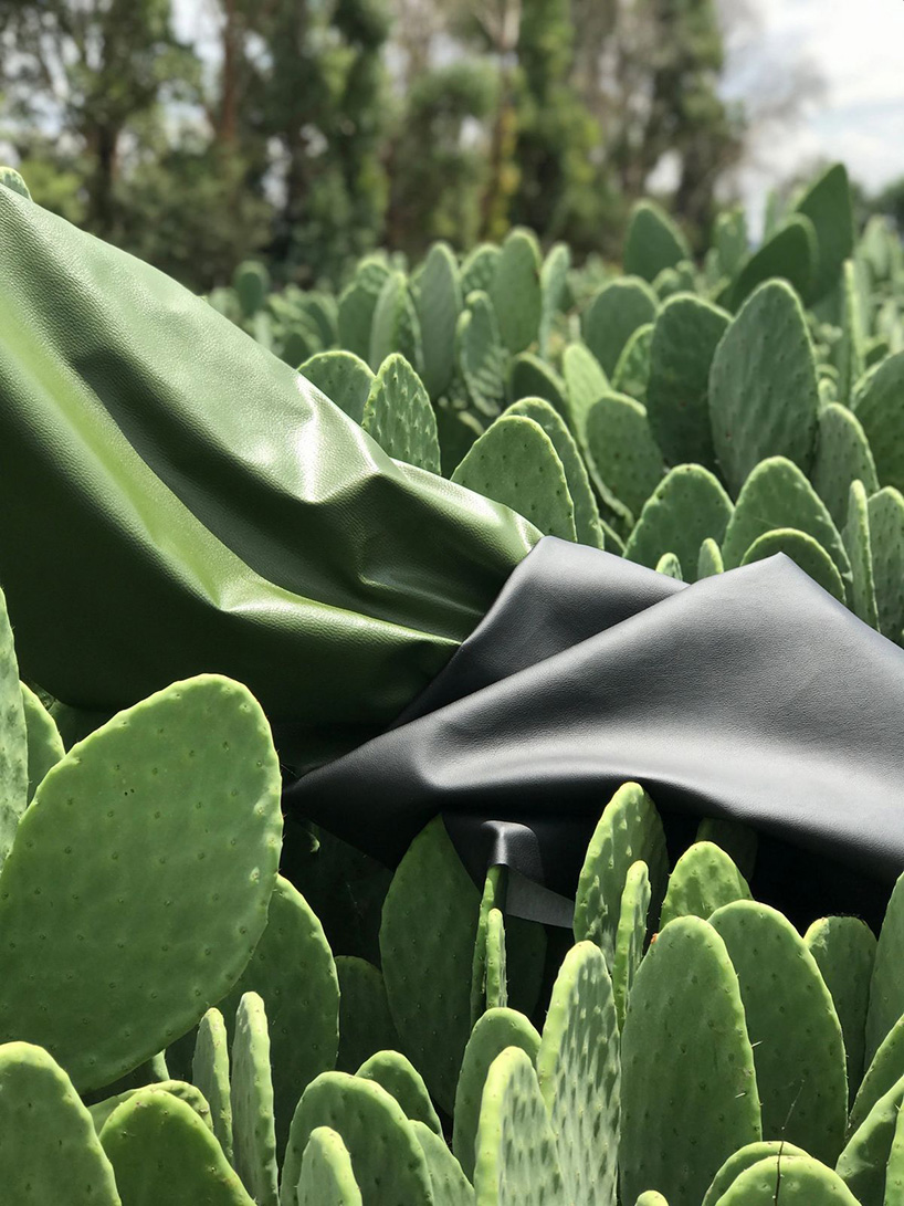 Sustainable Fashion: Heard About Cactus Leather?