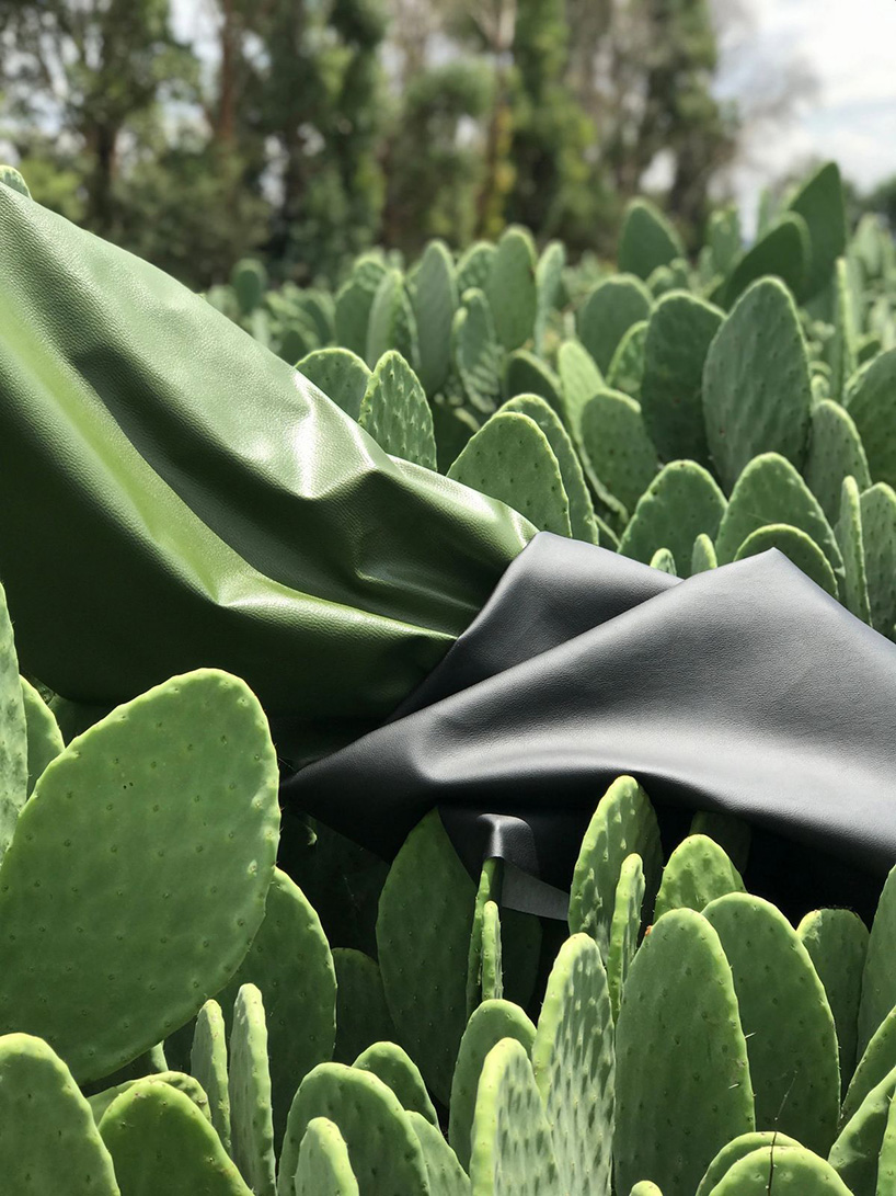 Revolutionary Cactus Vegan Leather Bags by Desserto Disrupt Luxury Brands  with Sustainable and Non-Toxic Materials