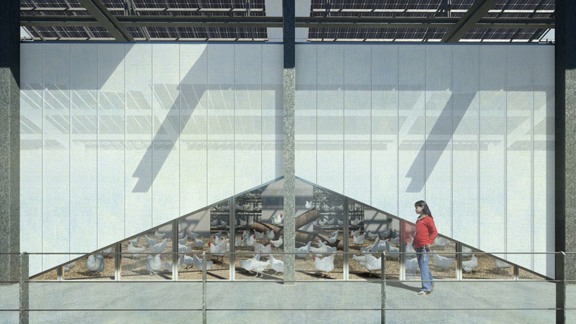 goldsmith plans floating farm with poultry and vegetables in rotterdam