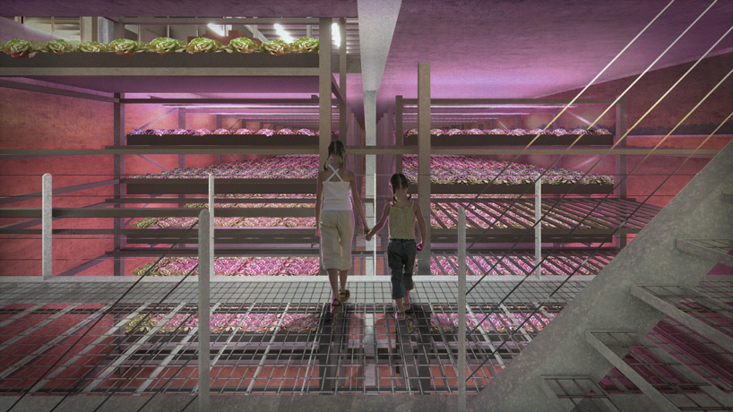goldsmith plans floating farm with poultry and vegetables in rotterdam