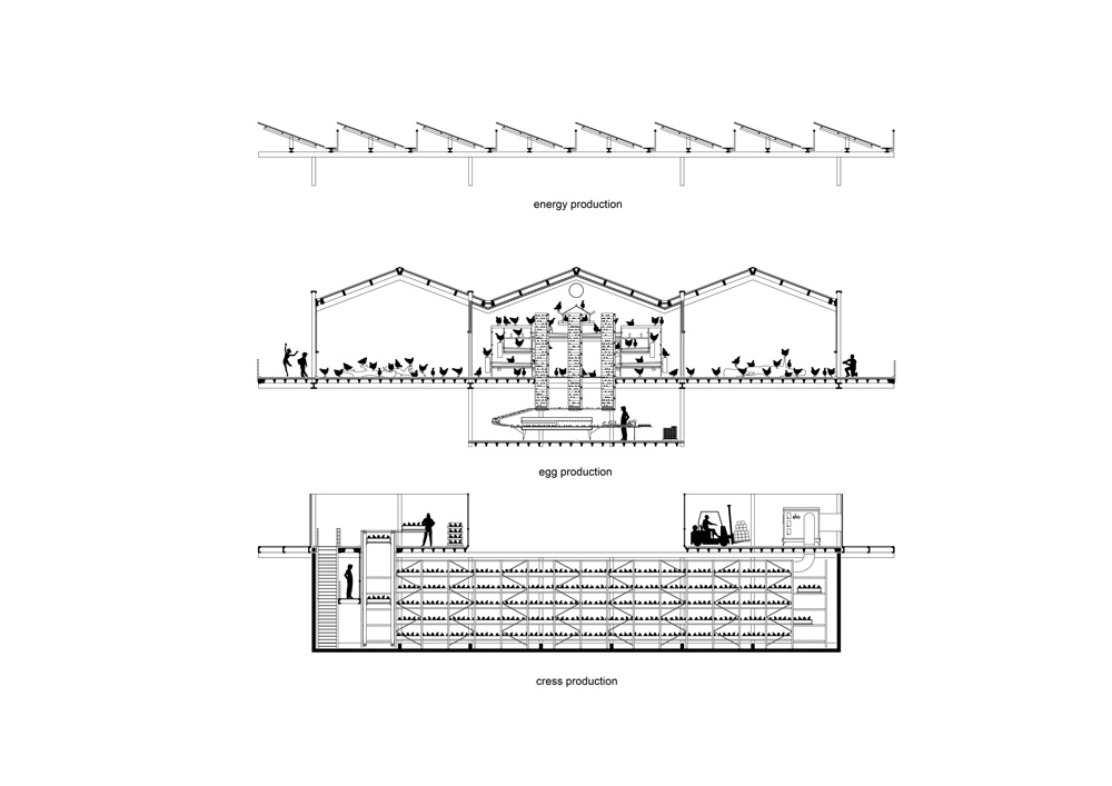 goldsmith plans floating farm with poultry and vegetables in rotterdam