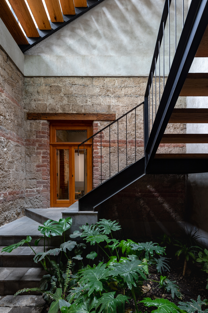 gabriel beas arquitectos converts a 1905 house into a plant-filled office in mexico city 