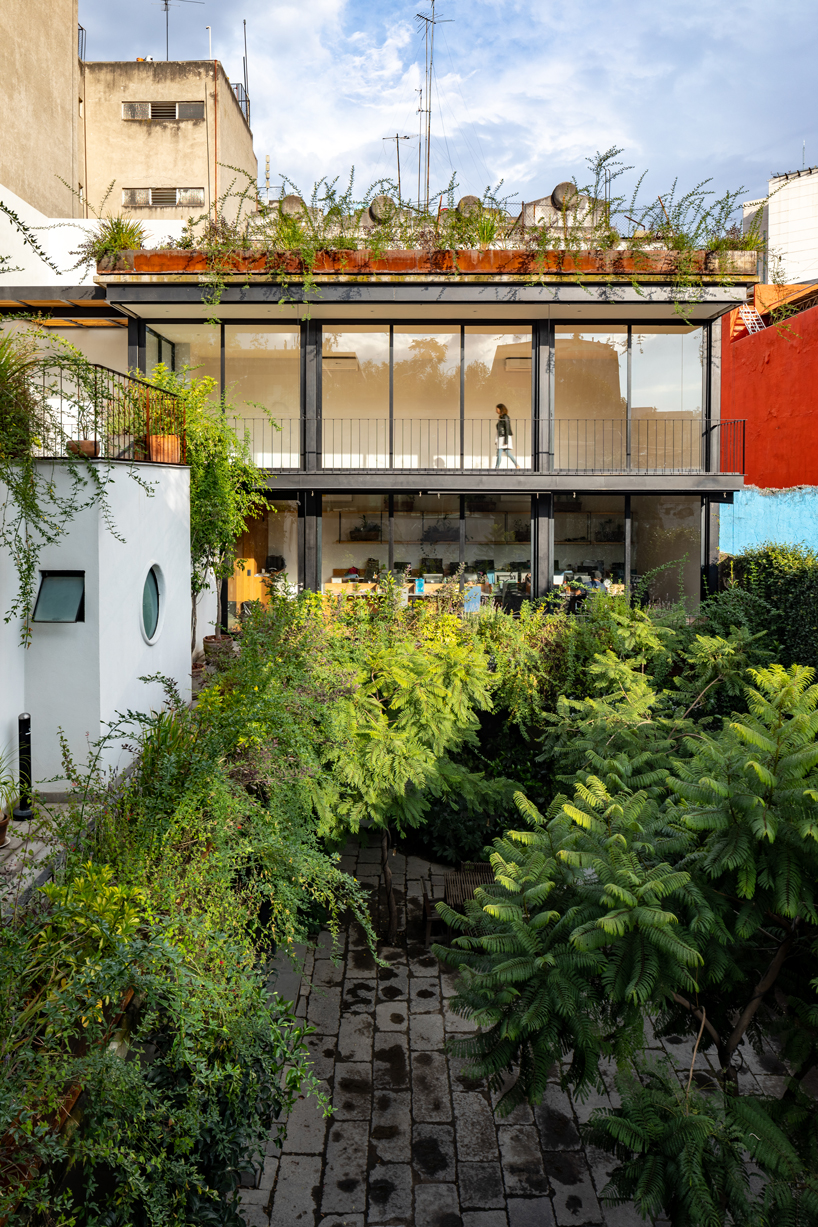 gabriel beas arquitectos converts a 1905 house into a plant-filled office in mexico city 