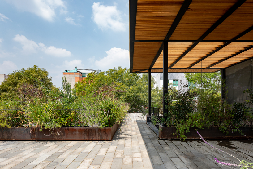 gabriel beas arquitectos converts a 1905 house into a plant-filled office in mexico city 