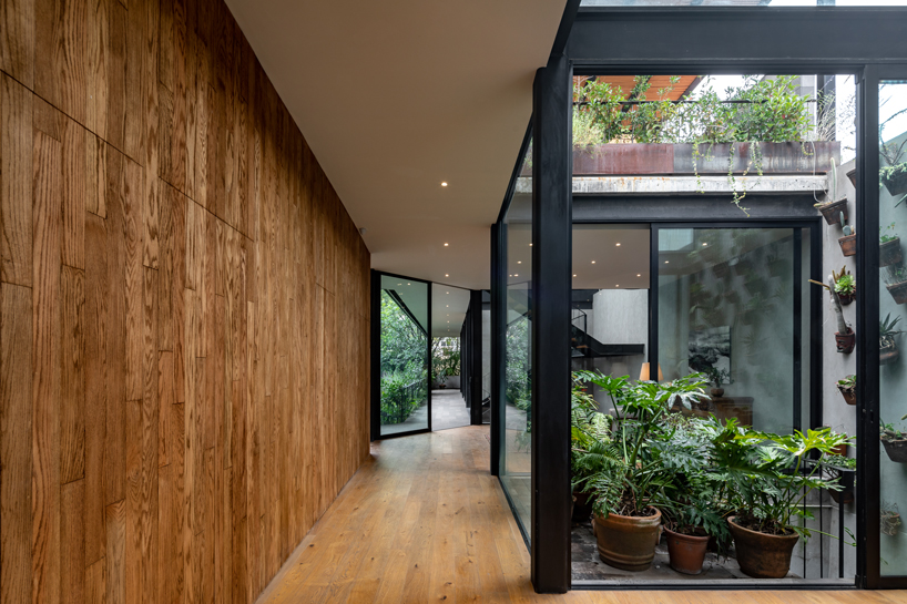 gabriel beas arquitectos converts a 1905 house into a plant-filled office in mexico city 