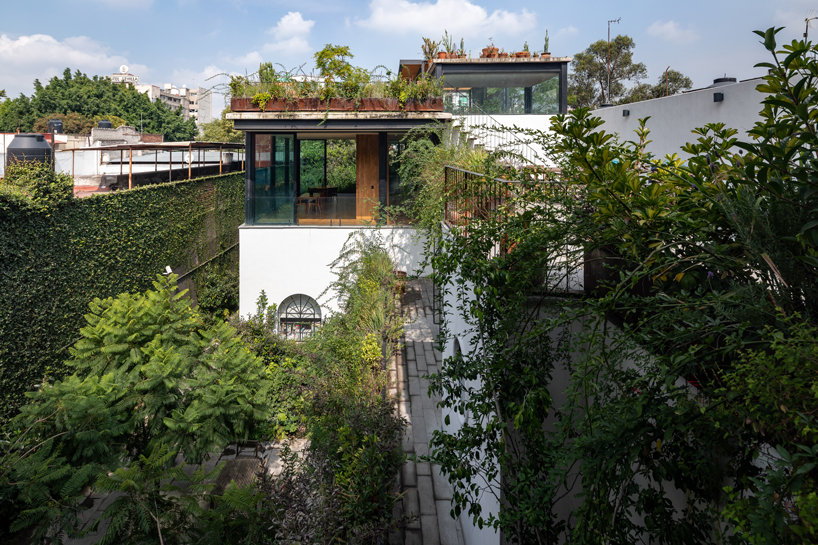 gabriel beas arquitectos converts a 1905 house into a plant-filled office in mexico city 