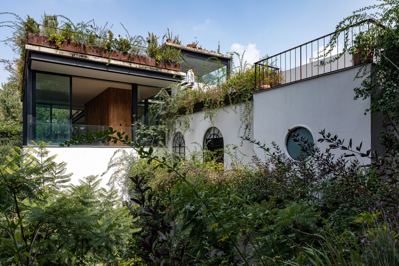 gabriel beas arquitectos converts a 1905 house into a plant-filled office in mexico city 