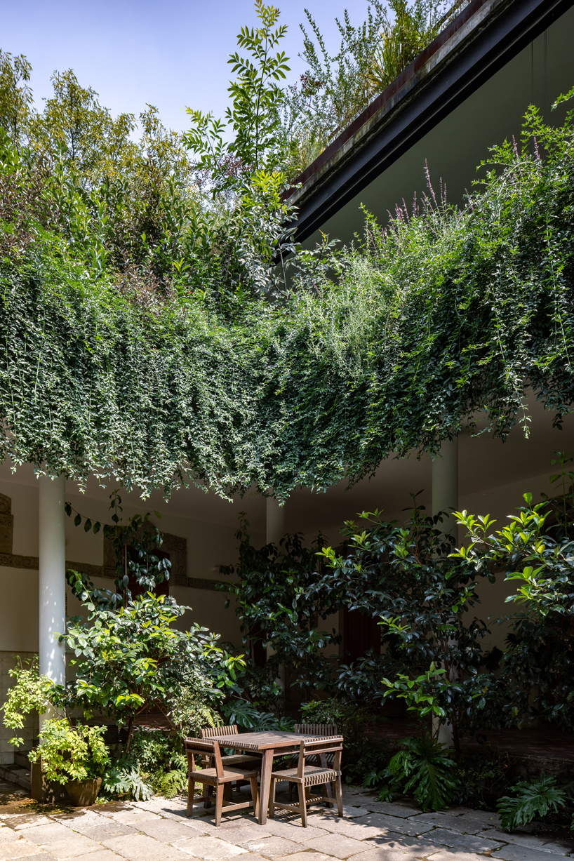 gabriel beas arquitectos converts a 1905 house into a plant-filled office in mexico city 