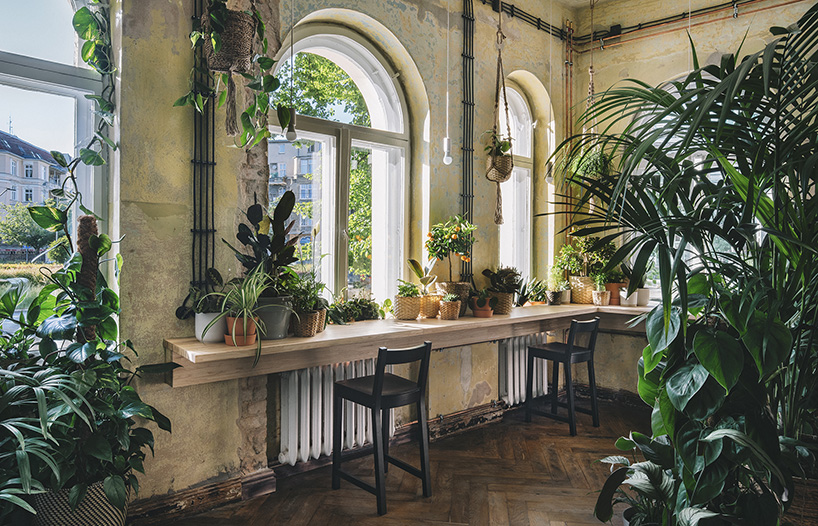 the IKEA home of tomorrow is a self-sufficient, plant-filled heaven