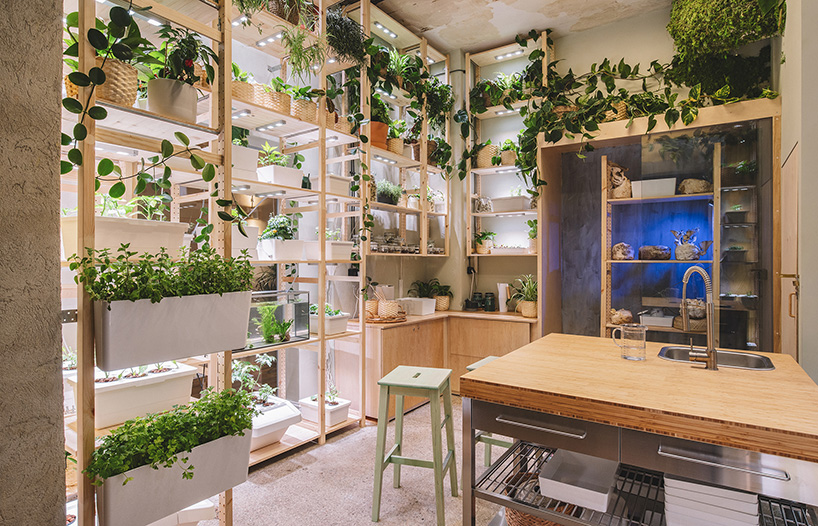 the IKEA home of tomorrow is a self-sufficient, plant-filled heaven