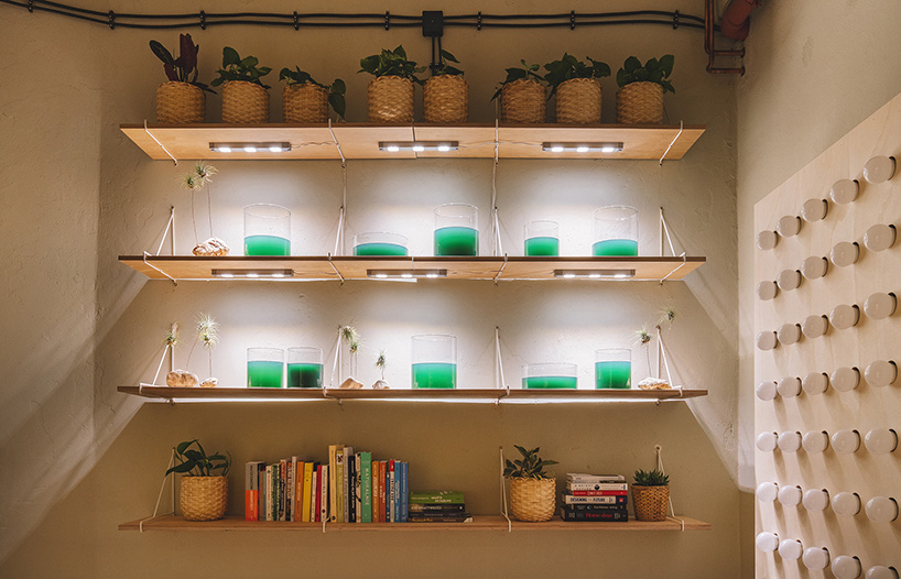 the IKEA home of tomorrow is a self-sufficient, plant-filled heaven