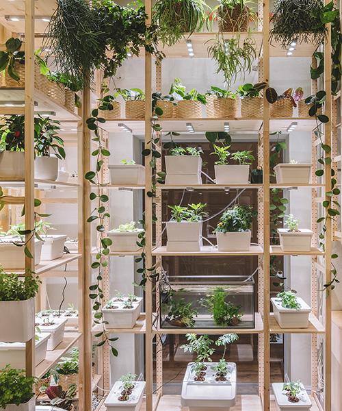 the IKEA home of tomorrow is a self-sufficient, plant-filled heaven