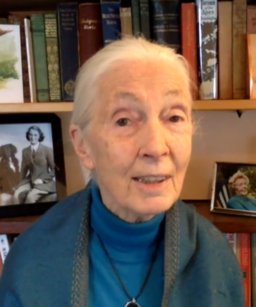 jane goodall warns humanity is 'finished' if it doesn't change after COVID-19