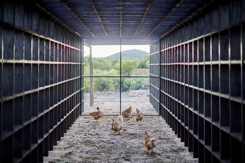 kengo kuma's chicken coop for casa wabi is an interlocking system of charred wooden boards