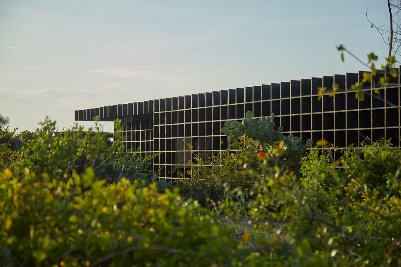 kengo kuma's chicken coop for casa wabi is an interlocking system of charred wooden boards