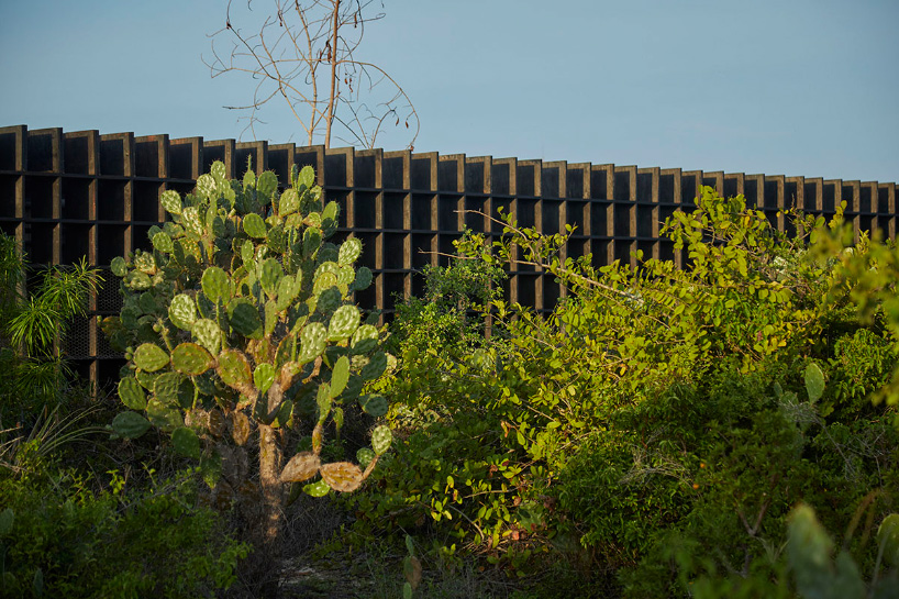 kengo kuma's chicken coop for casa wabi is an interlocking system of charred wooden boards
