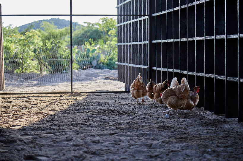 kengo kuma's chicken coop for casa wabi is an interlocking system of charred wooden boards