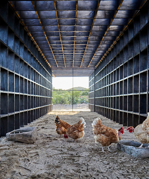 kengo kuma's chicken coop for casa wabi is an interlocking system of charred wooden boards