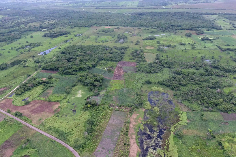 massive 3,000-year-old mayan monument discovered in southern mexico