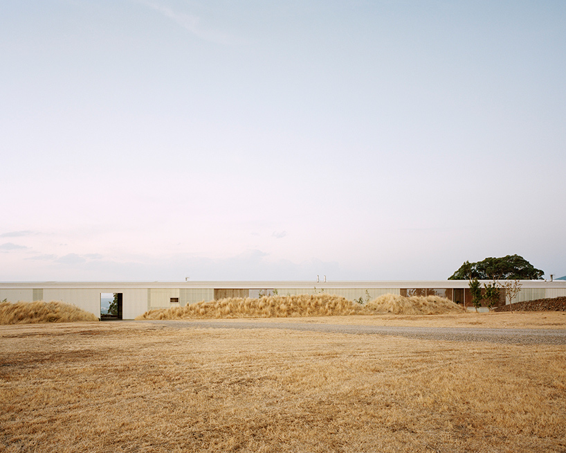 partners hill harnesses rainwater within rooftop of its translucent 'longhouse' in australia
