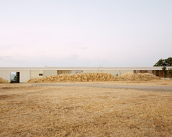 partners hill harnesses rainwater within rooftop of its translucent 'longhouse' in australia