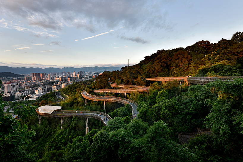 fuzhou forest walkway look