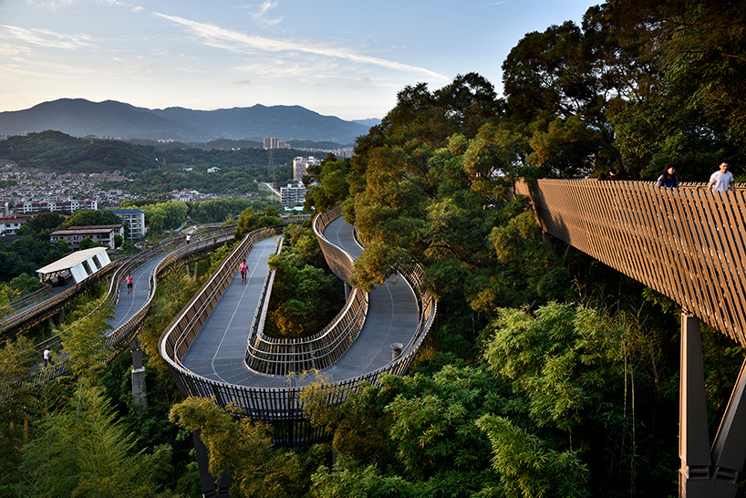 fuzhou forest walkway look