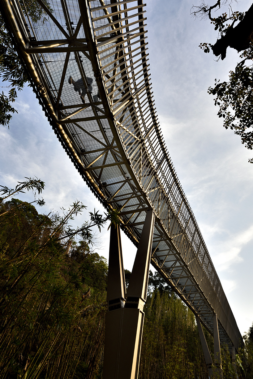 fuzhou forest walkway look