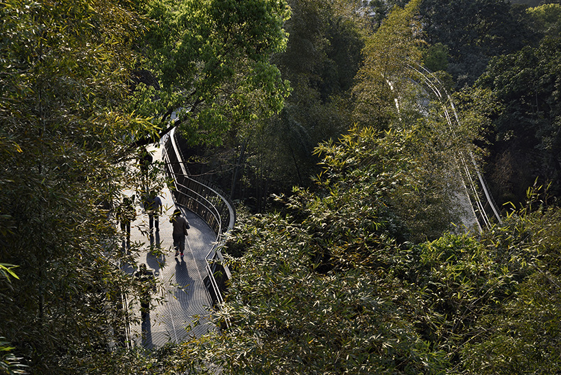 fuzhou forest walkway look