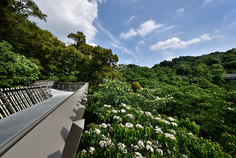 fuzhou forest walkway by LOOK architects offers access to nature in southeastern china