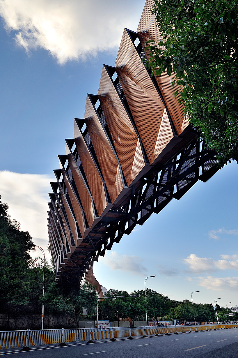 fuzhou forest walkway by LOOK architects offers access to nature in southeastern china