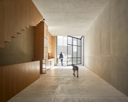 PPAA organizes two minimalist dwellings 'pachuca' within narrow mexico city lot