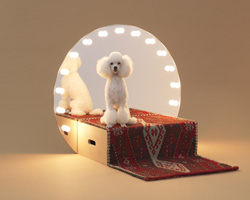 https://static.designboom.com/wp-content/uploads/2020/07/architecture-for-dogs-exhibition-japan-house-london-designboom-250-1.jpg