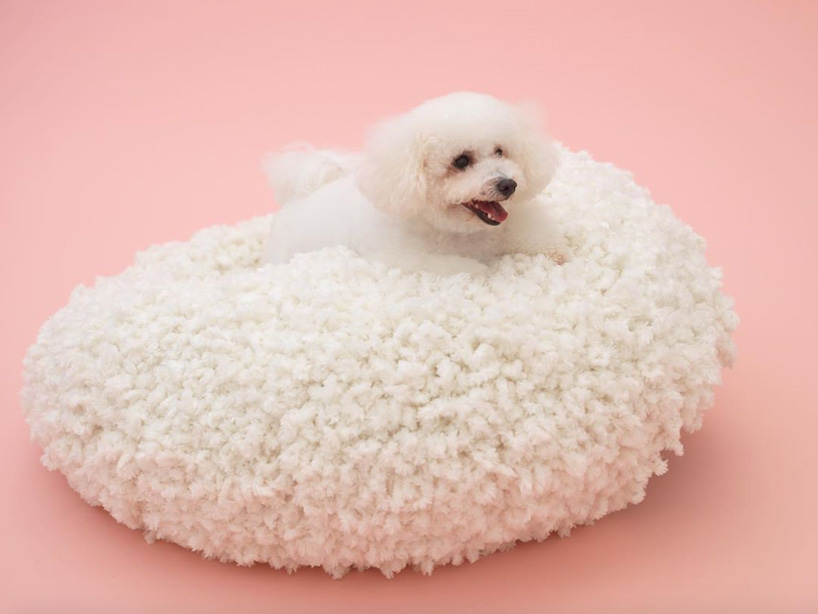 architecture for dogs exhibition at japan house london with kazuyo sejima, toyo ito + more