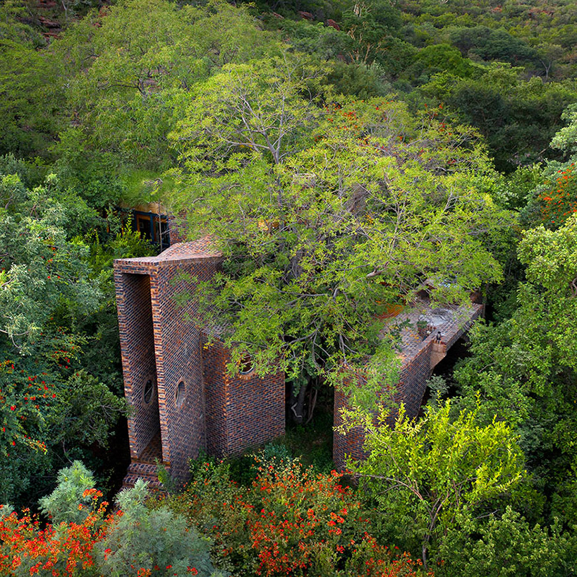 frankie pappas hides off-grid brick house within south africa nature reserve