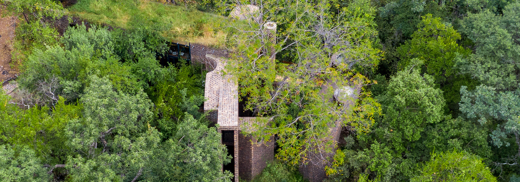 frankie pappas hides off-grid brick house within south africa nature reserve