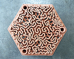 these 3D-printed terracotta tiles are being used to rejuvenate hong kong's coral reefs
