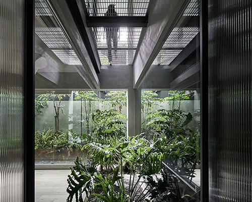 human + plant life merge within KC design studio's residential project in taipei