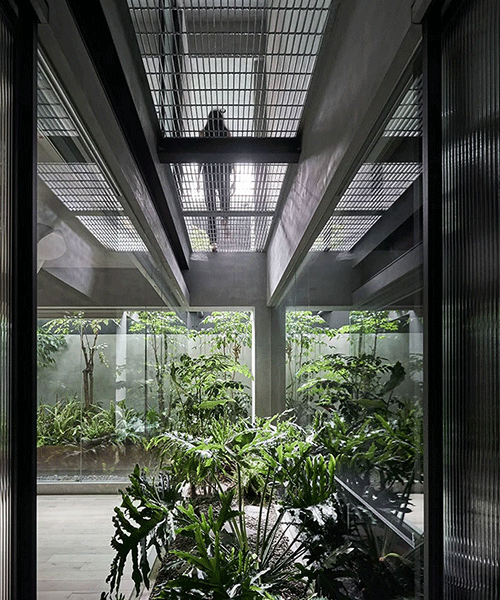 human + plant life merge within KC design studio's residential project in taipei