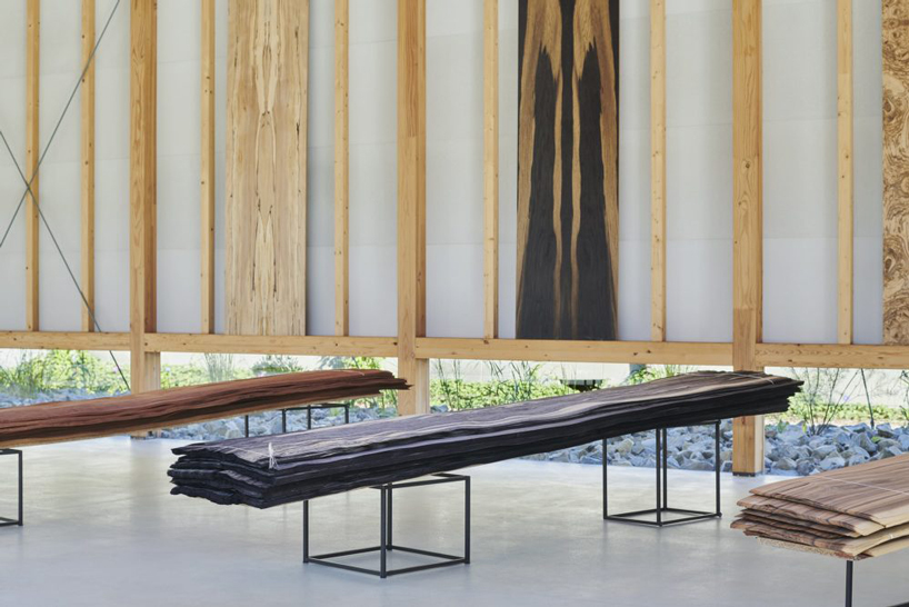 ninkipen! completes gallery for veneer company with deep overhangs in yao, japan