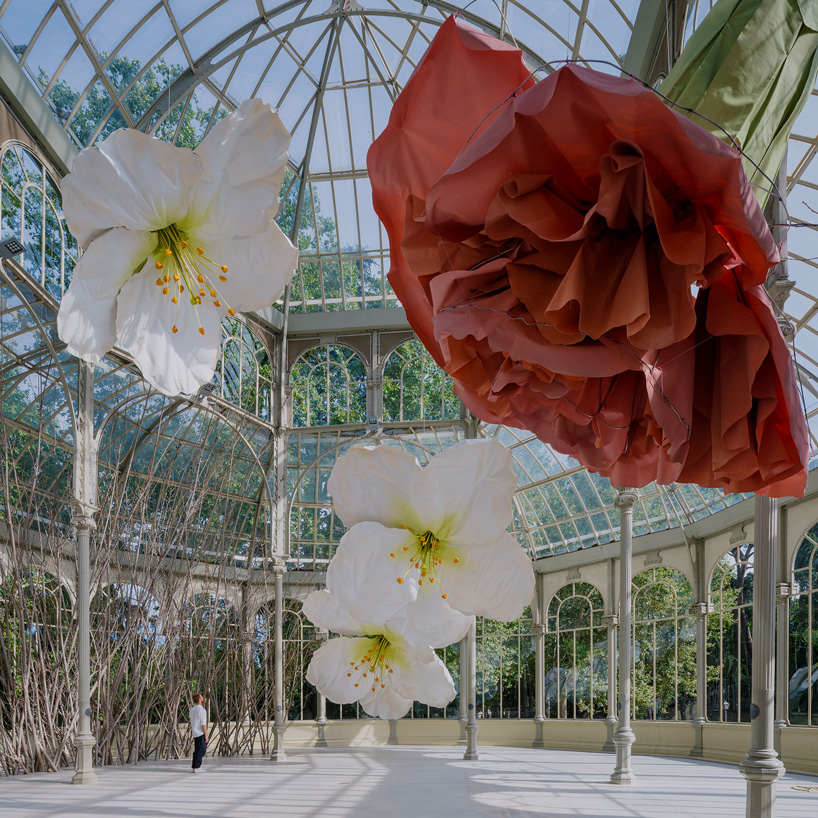 forsythia, palm seeds, cherry blossom, poppy, carnation, and lilies are turned into giant objects