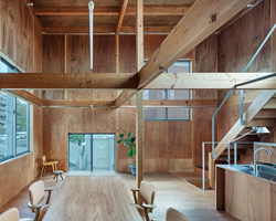 schemata architects covers the interior of this tokyo house in lauan plywood