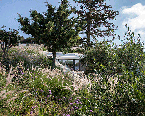'secret garden house' by scapearchitecture is a hideaway woven into greek island landscape