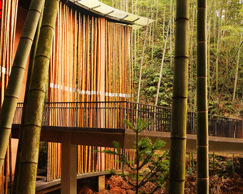 Bamboo Architecture And Design Designboom Com