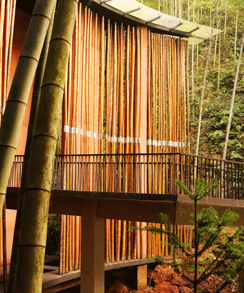 west-line studio builds dense bamboo entrance + tea pavilion within national park in china