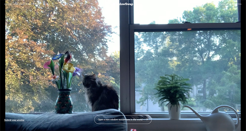 this website fills the wanderlust void by letting you look out a stranger's window