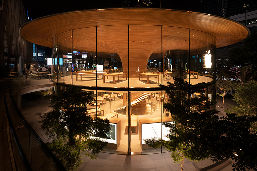 'apple central world' in bangkok is housed beneath a cantilevered tree canopy