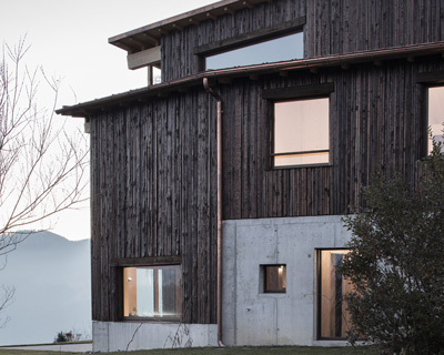 atelier risi combines tree bark + concrete for the exterior of this house in böschi, switzerland
